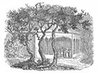 Tivoli Gardens 1831 | Margate History
